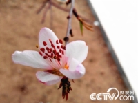   