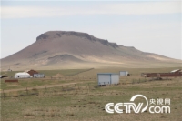               