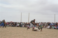   