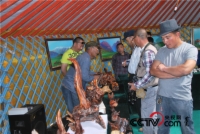   