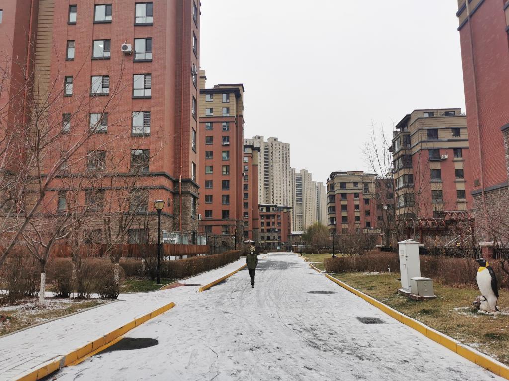 27日，遼寧地區雨雪、寒潮、大風天氣接踵而至。 新華社記者白涌泉 攝