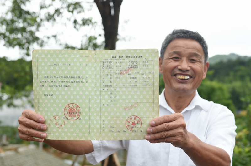 2017年6月13日，福建武平縣萬安鎮捷文村村民李桂林展示林權改革後領到的全國第一本新式林權證。