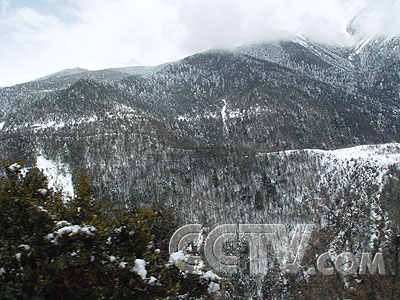 白茫雪山