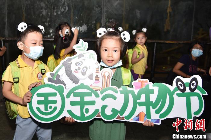 現場同步啟動深圳野生動物園“2020國寶動物節” 李木生攝