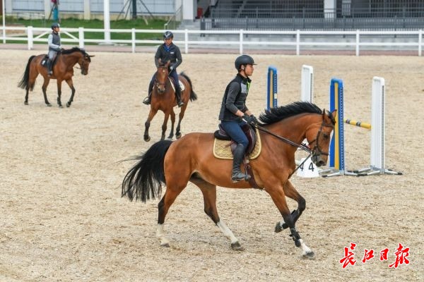 軍運會比賽用馬在武漢商學院馬術場接受訓練。 記者李葳 攝