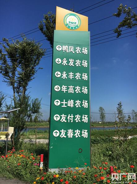 小楊村內矗立的農場招牌（央廣網記者 孫冰潔 攝）