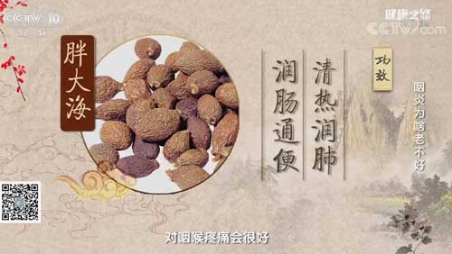 急性咽炎怎麼治？這兩類藥物泡水喝療效好