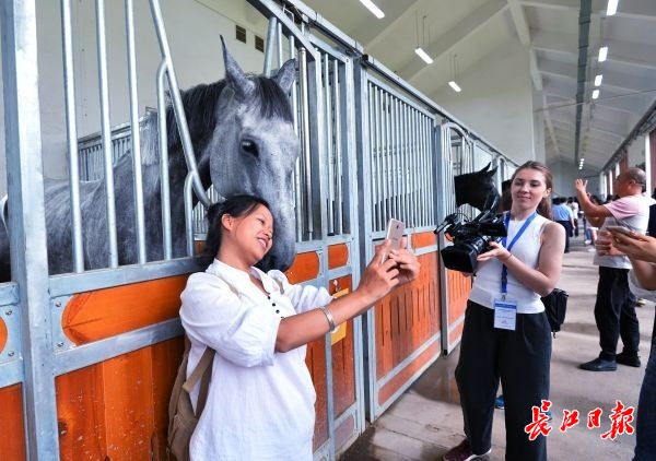 媒體記者們武漢商學院的馬房裏探望參加軍運會馬術障礙賽的賽馬 。記者喻志勇 攝