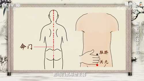 陽虛體質的人該如何調理