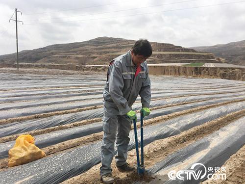 當地百姓正在種植土豆。