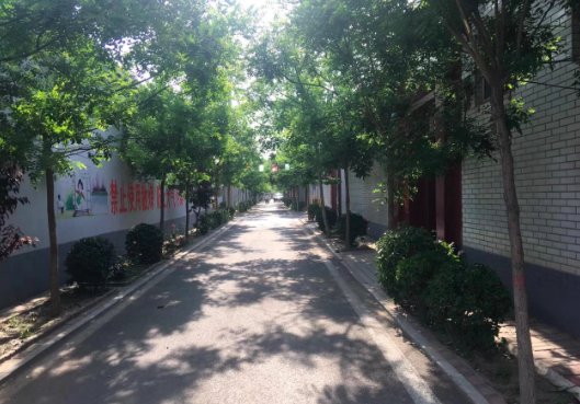 綠樹成蔭的劉村街巷（馬謙傑 攝）