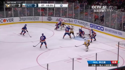 [NHL]季後賽：匹茲堡企鵝VS紐約島人 加時賽