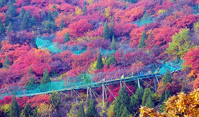 漫山紅遍層林盡染 京城最美季節悄然到來