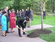胡錦濤與克拉克森會見後，在總督府庭院內種植中加友好紀念樹。