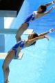 （4）跳水──世錦賽賽況新