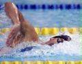 （5）游泳──世錦賽游泳比賽第三日産生五金