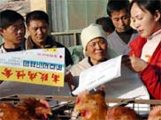 國家將對防治禽流感人用藥物實行特別審評