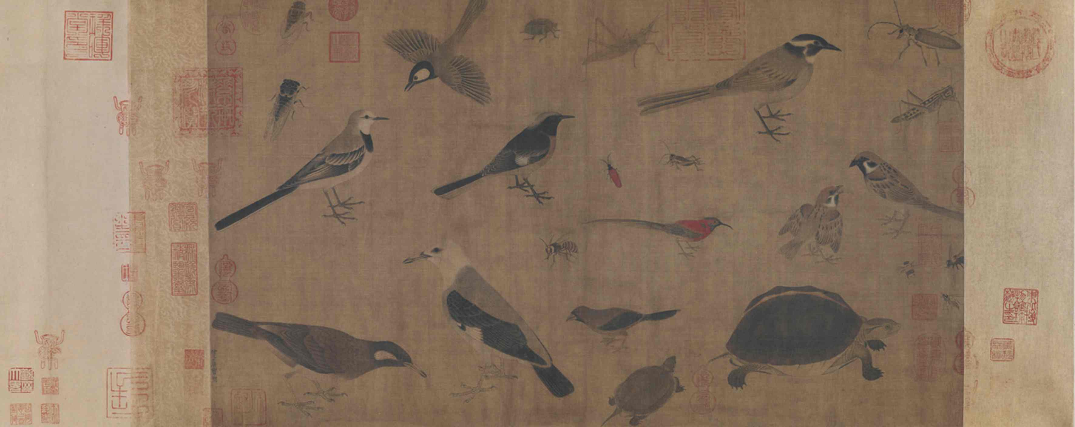寫生珍禽圖（國畫） 41.5×70.8厘米 五代 黃筌 北京故宮博物院藏
