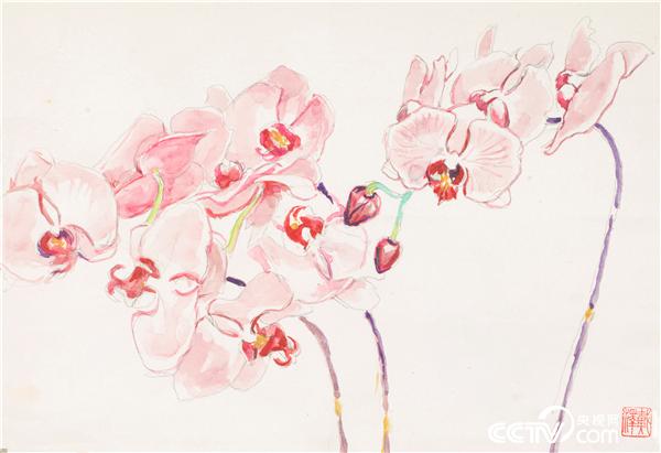 《蝴蝶蘭》 戴澤 布面油畫 26×38.5cm 2008年 中國美術館藏