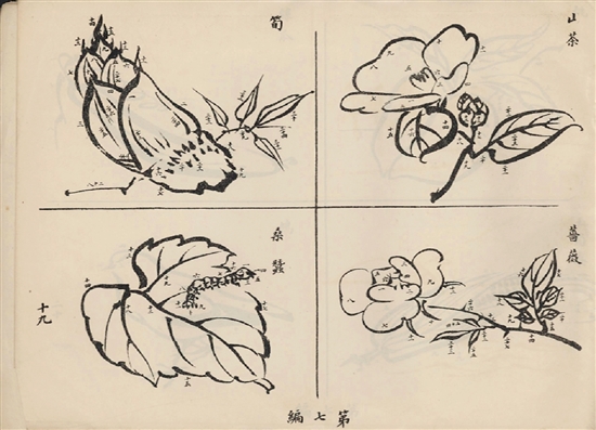 上海商務印書館出版，商務印書館編譯所編繪《毛筆習畫範本（教員用）》（1906）