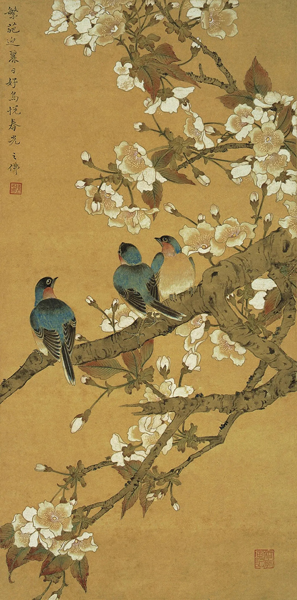 櫻花藍雀 陳之佛 中國畫  63×31cm 1956年 南京博物院藏