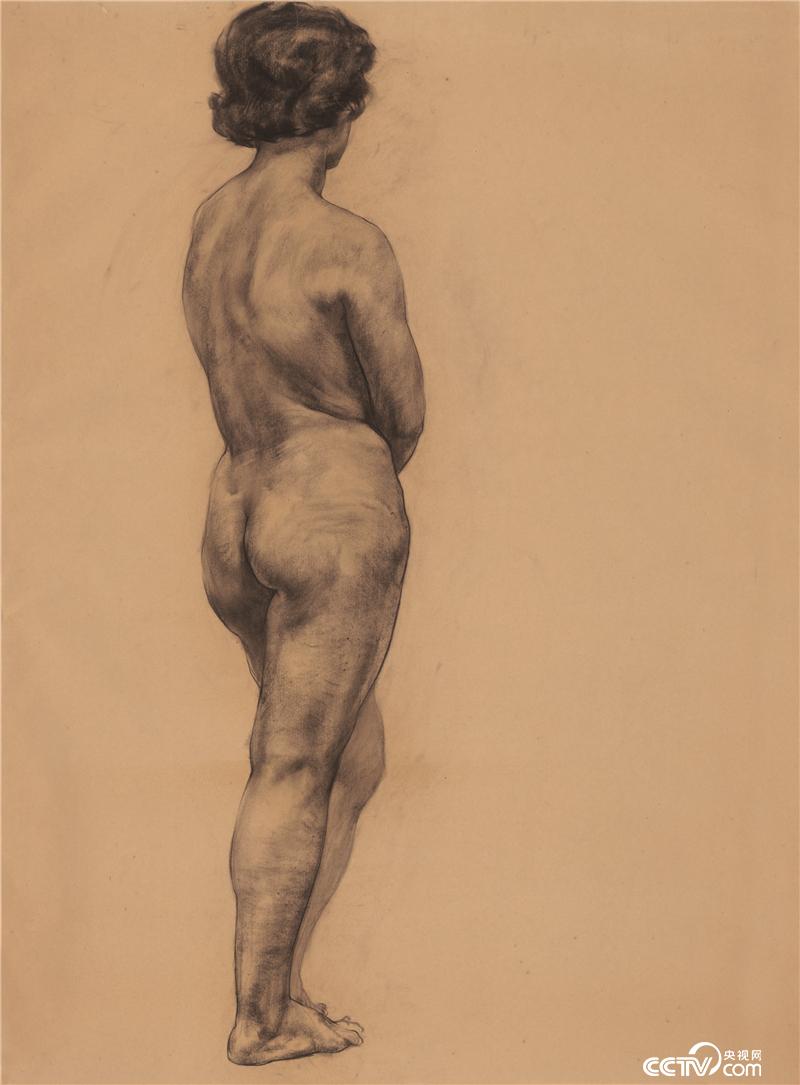 人體素描 曹春生 素描 110x80cm 1978年 中國美術館藏