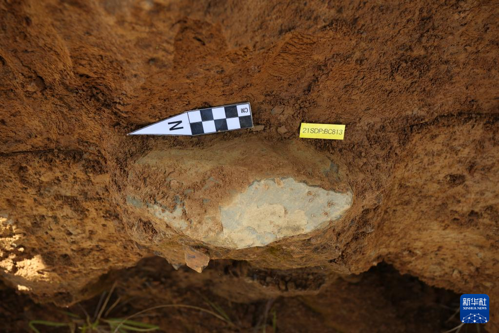 在四川稻城縣皮洛舊石器時代遺址發現的薄刃斧（資料圖）。
